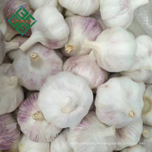 2017 Crop natural knoblauch normalen weißen knoblauch 10 kg karton lose verpackung